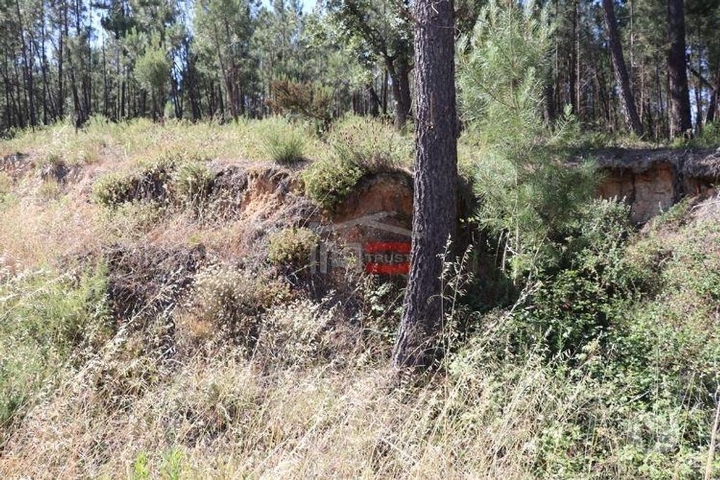 Terrenos Ourém - Fotos para Ourem-Terreno (110019035)