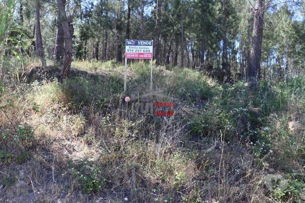 Terrenos Ourém - Fotos para Ourem-Terreno (110019035)