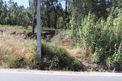 Terrenos a venda - Fotos para Ourem-Terreno (110019035)