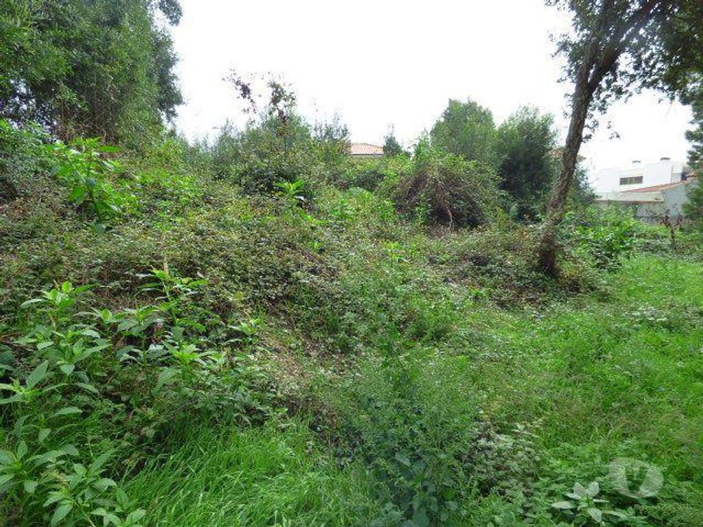Terrenos Vila Nova de Gaia - Fotos para Lote Terreno Perosinho ao Colegio dos Carvalhos construção