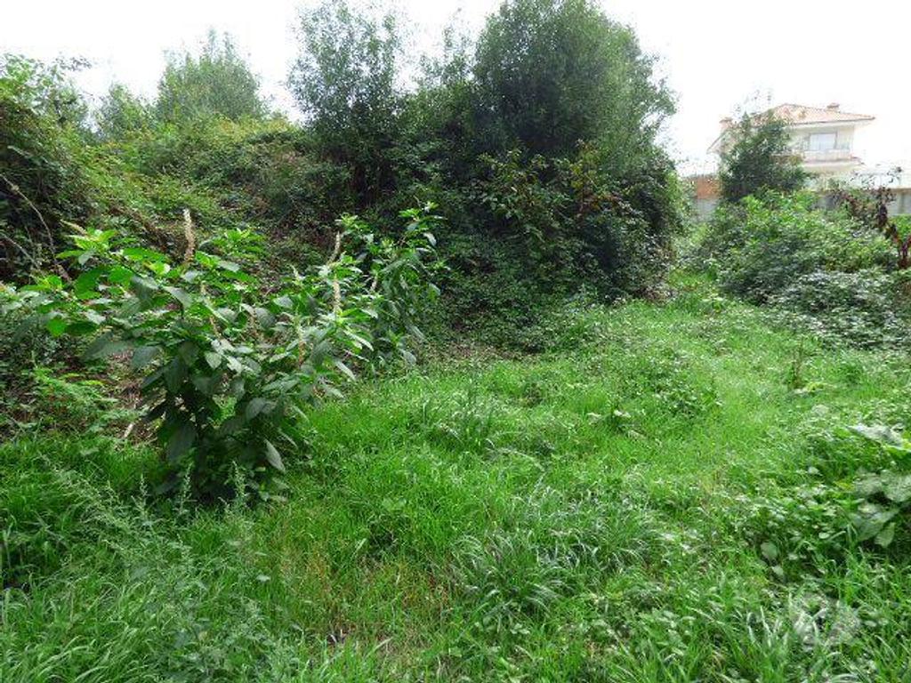 Terrenos Vila Nova de Gaia - Fotos para Lote Terreno Perosinho ao Colegio dos Carvalhos construção