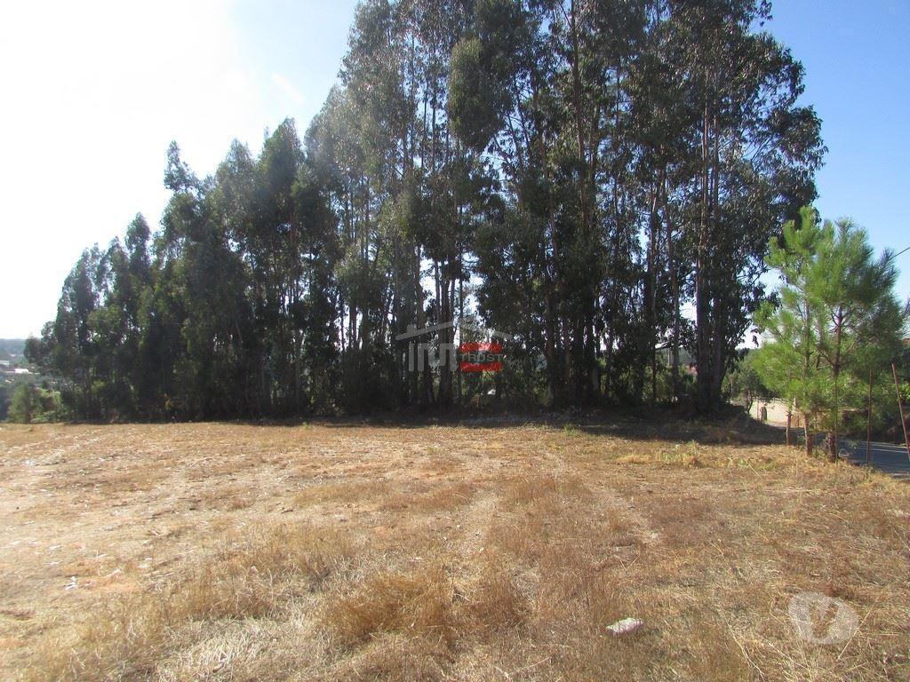 Terrenos Ourém - Fotos para Ourem-Terreno para construção (1-T-1717108)