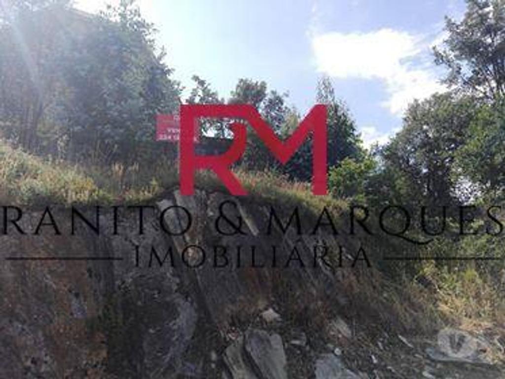 Terrenos Valongo - Fotos para Valongo-TERRENO PARA CONSTRUÇÃO DE MORADIA EM CAMPO (T 00293)