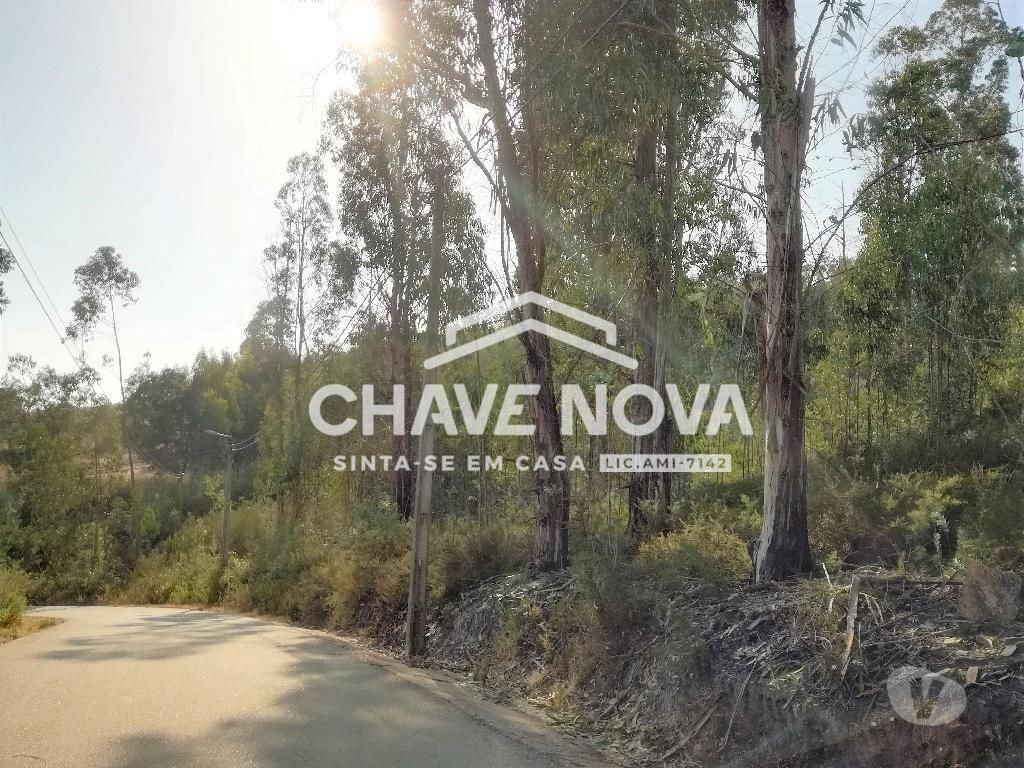 Terrenos Valongo - Fotos para Valongo-Terreno urbano no Susão - Valongo (RT 00945)