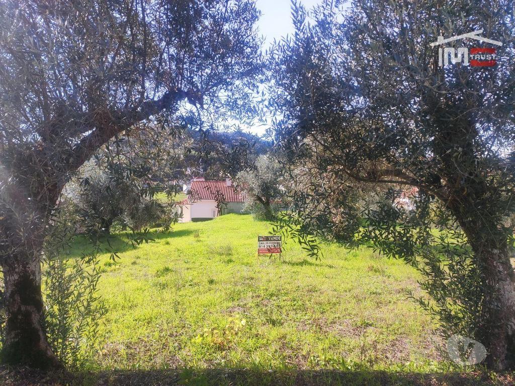 Terrenos Ourém - Fotos para Terreno com possibilidade de construção a 2 Km da Cidade de