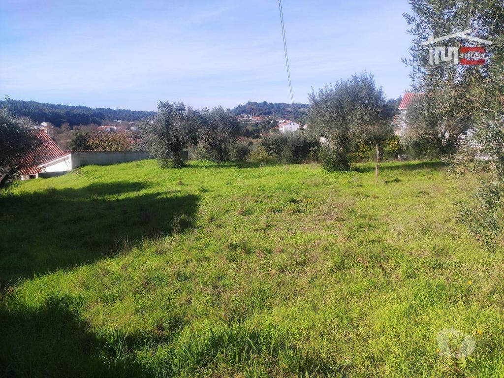 Terrenos Ourém - Fotos para Terreno com possibilidade de construção a 2 Km da Cidade de