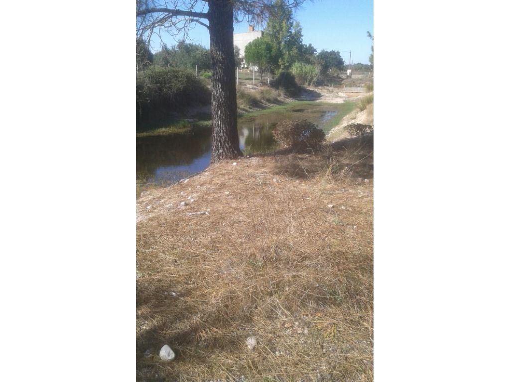 Terrenos Ponte de Sor - Fotos para Ponte-de-sor-BARROQUEIRA_Ponte de Sor (DL.11031)
