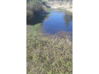 Terrenos a venda - Fotos para Ponte-de-sor-BARROQUEIRA_Ponte de Sor (DL.11031)