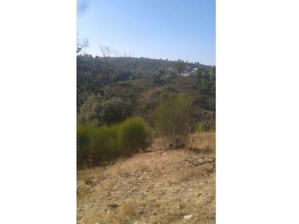 Terrenos - Fotos para Ponte-de-sor-Cova do Linho_Rústico (DL.11028)