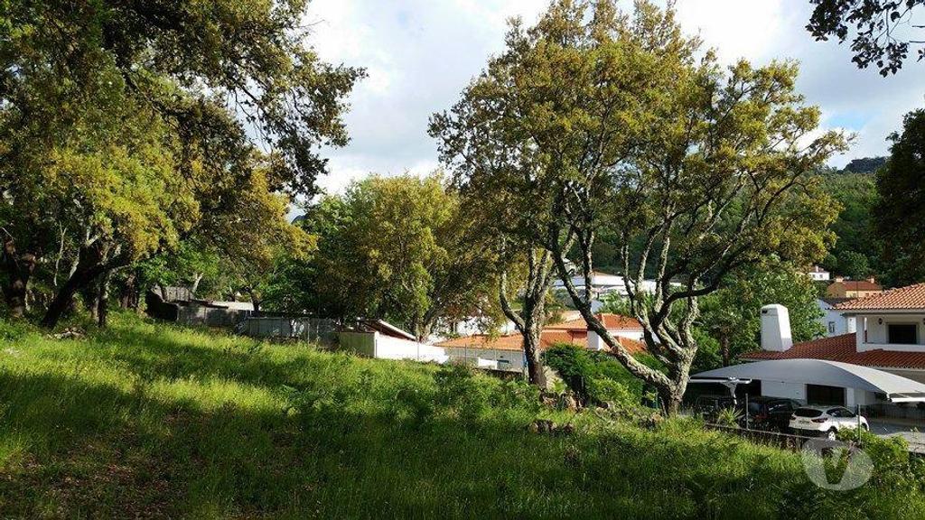 Terrenos Castelo de Vide - Fotos para Terreno rústico, para venda, Castelo de Vide - Santa Maria da
