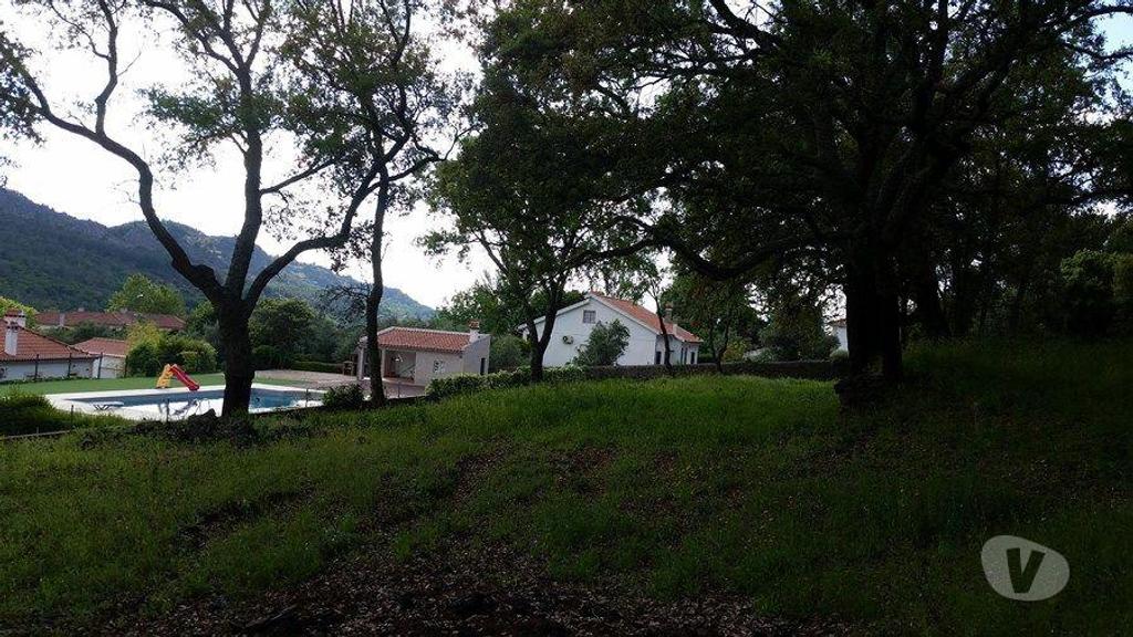 Terrenos Castelo de Vide - Fotos para Terreno rústico, para venda, Castelo de Vide - Santa Maria da