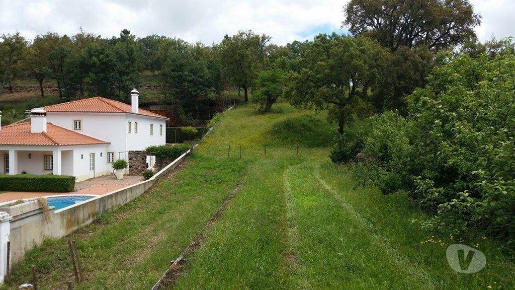 Terrenos Castelo de Vide - Fotos para Terreno rústico, para venda, Castelo de Vide - Santa Maria da