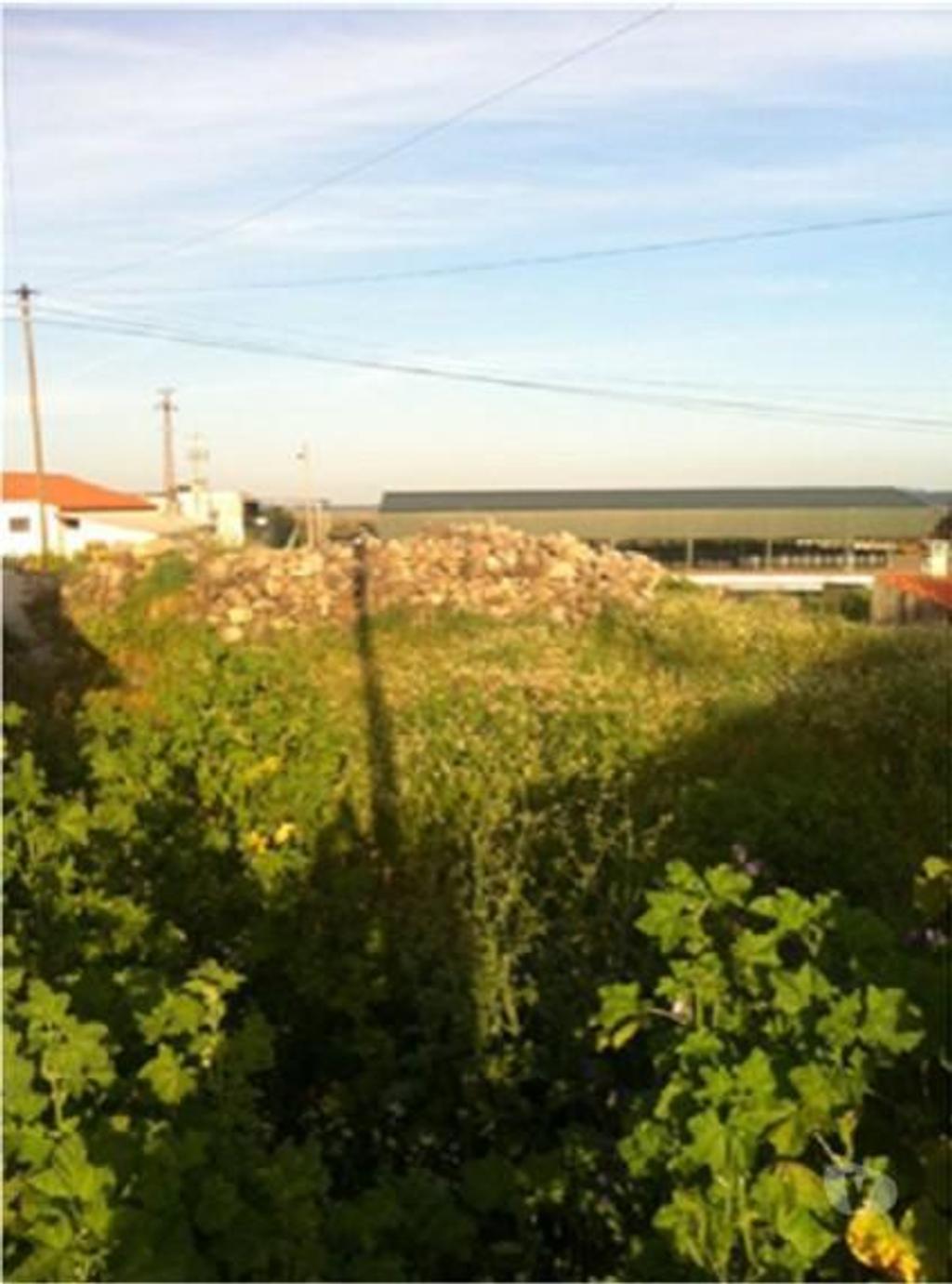 Terrenos Marvão - Fotos para Marvao-Terreno (JP.10049)
