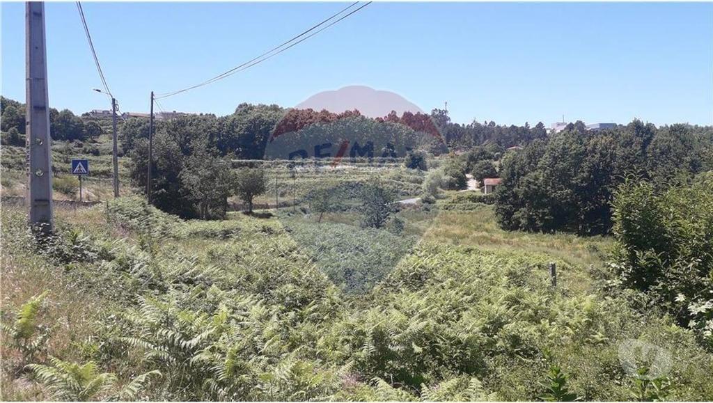 Terrenos Marco de Canaveses - Fotos para Excelente terreno para construção (125061024-22)
