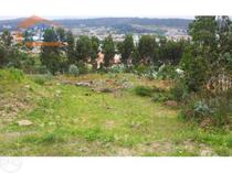 Fotos para Valongo-Excelente terreno em Valongo (807216198)