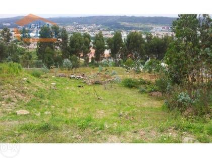 Terrenos e Quintas - Fotos para Valongo-Excelente terreno em Valongo (807216198)