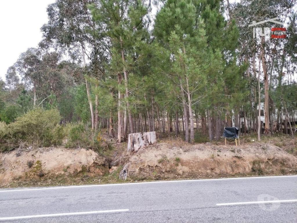 Terrenos Ourém - Fotos para Ourem-Terreno rústico com viabilidade de construção. (1-T-000289)