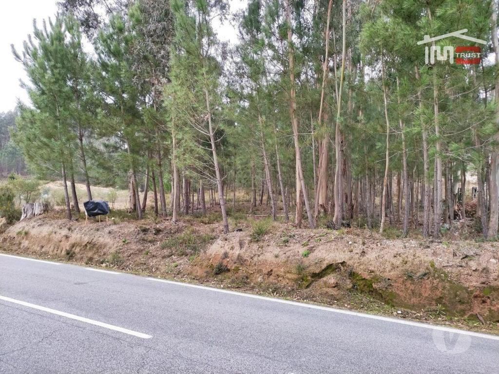 Terrenos Ourém - Fotos para Ourem-Terreno rústico com viabilidade de construção. (1-T-000289)
