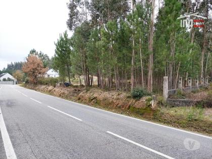 Terrenos - Fotos para Ourem-Terreno rústico com viabilidade de construção. (1-T-000289)