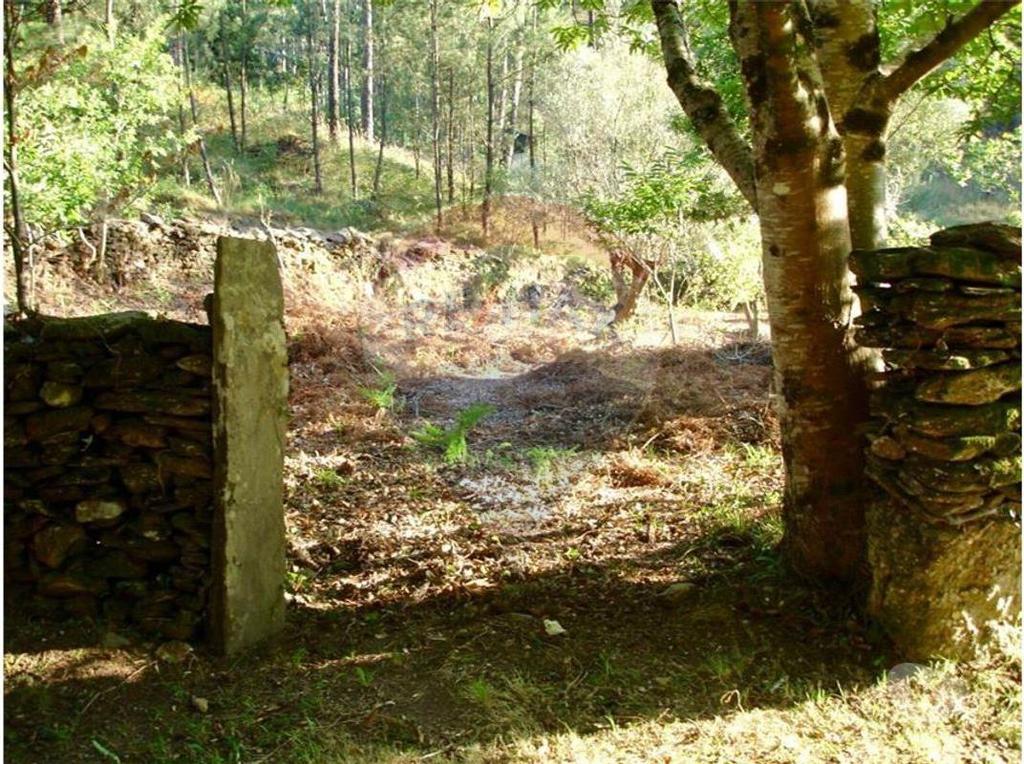 Terrenos Caminha - Fotos para Terreno Rústico - O paraíso à sua disposição (125061043-17)