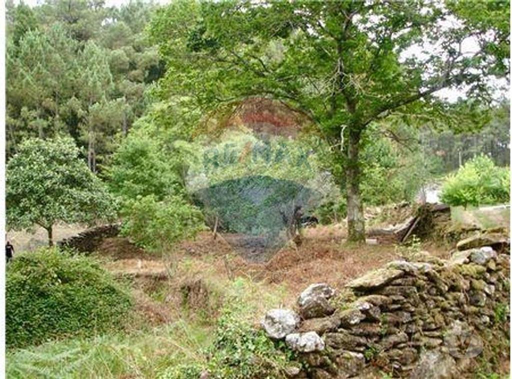 Terrenos Caminha - Fotos para Terreno Rústico - O paraíso à sua disposição (125061043-17)