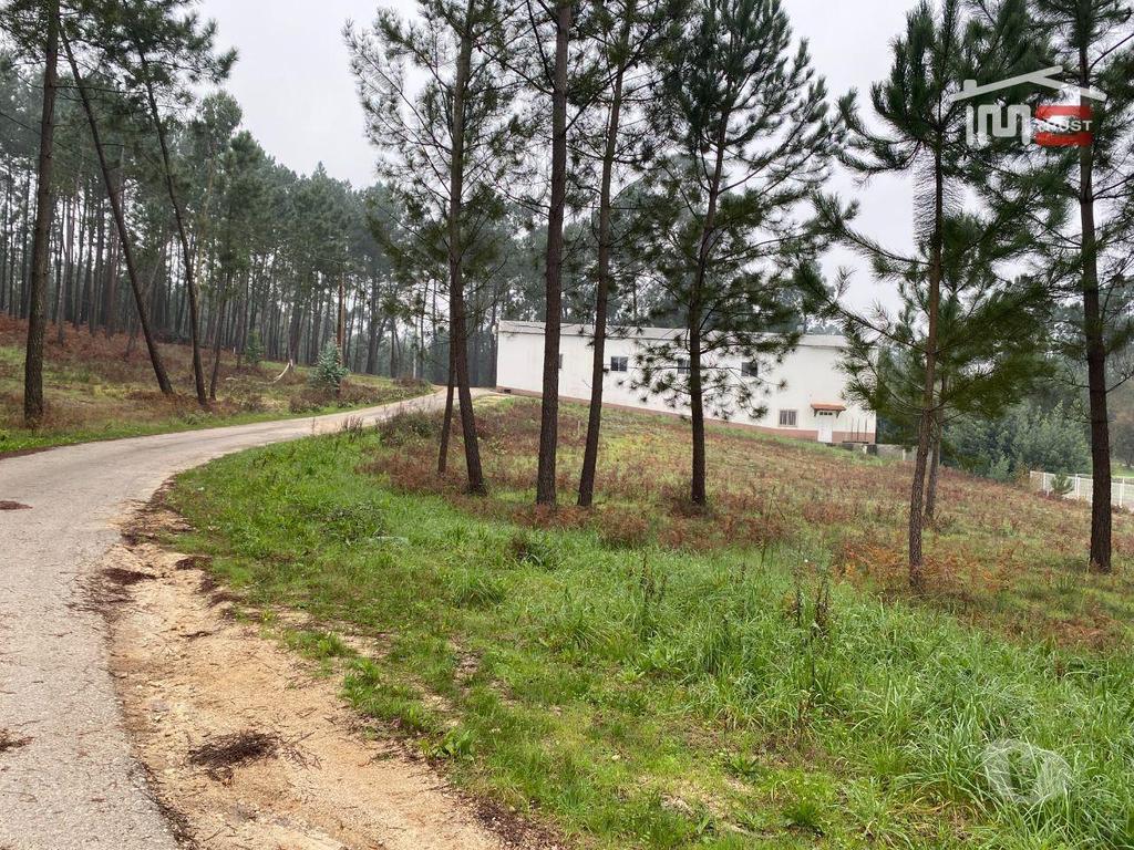 Terrenos Ourém - Fotos para Ourem-Terreno com possibilidade de construção (1-T-000272)