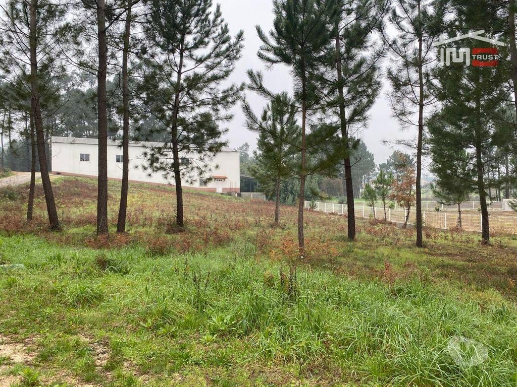 Terrenos Ourém - Fotos para Ourem-Terreno com possibilidade de construção (1-T-000272)