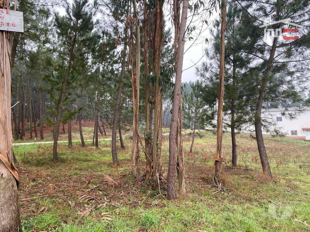 Terrenos Ourém - Fotos para Ourem-Terreno com possibilidade de construção (1-T-000272)