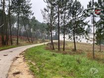 Ourem-Terreno com possibilidade de construção (1-T-000272)