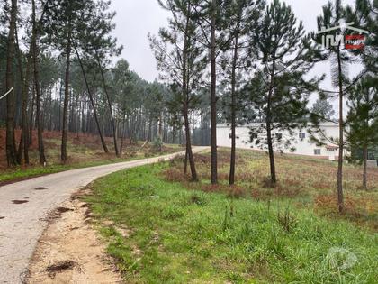 Terrenos e quintas a venda - Fotos para Ourem-Terreno com possibilidade de construção (1-T-000272)