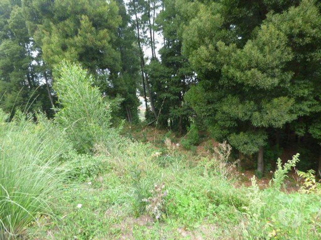 Terrenos Vila Nova de Gaia - Fotos para Terreno Monte da Vigem para construção (801207067)
