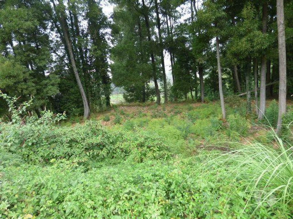 Terrenos Vila Nova de Gaia - Fotos para Terreno Monte da Vigem para construção (801207067)