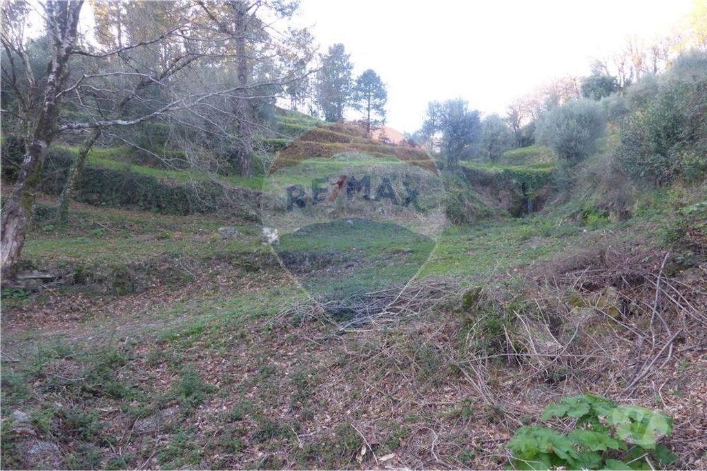 Terrenos Barcelos - Fotos para Barcelos-Terreno com 22.600m2 em Vilar de Figos (125061093-7)