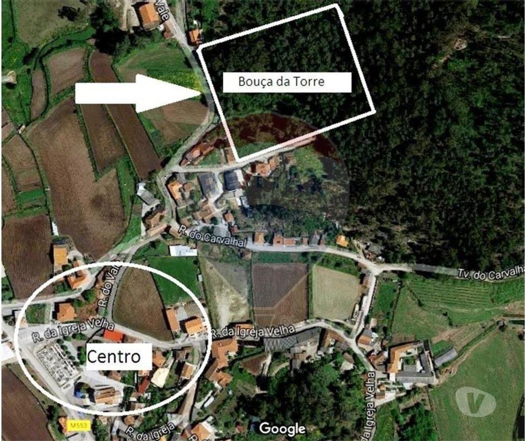 Terrenos Barcelos - Fotos para Barcelos-Terreno com 22.600m2 em Vilar de Figos (125061093-7)