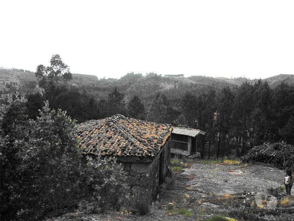 Terrenos Vieira do Minho - Fotos para Terreno Florestal, com espigueiro, eira, todo vedado, com área