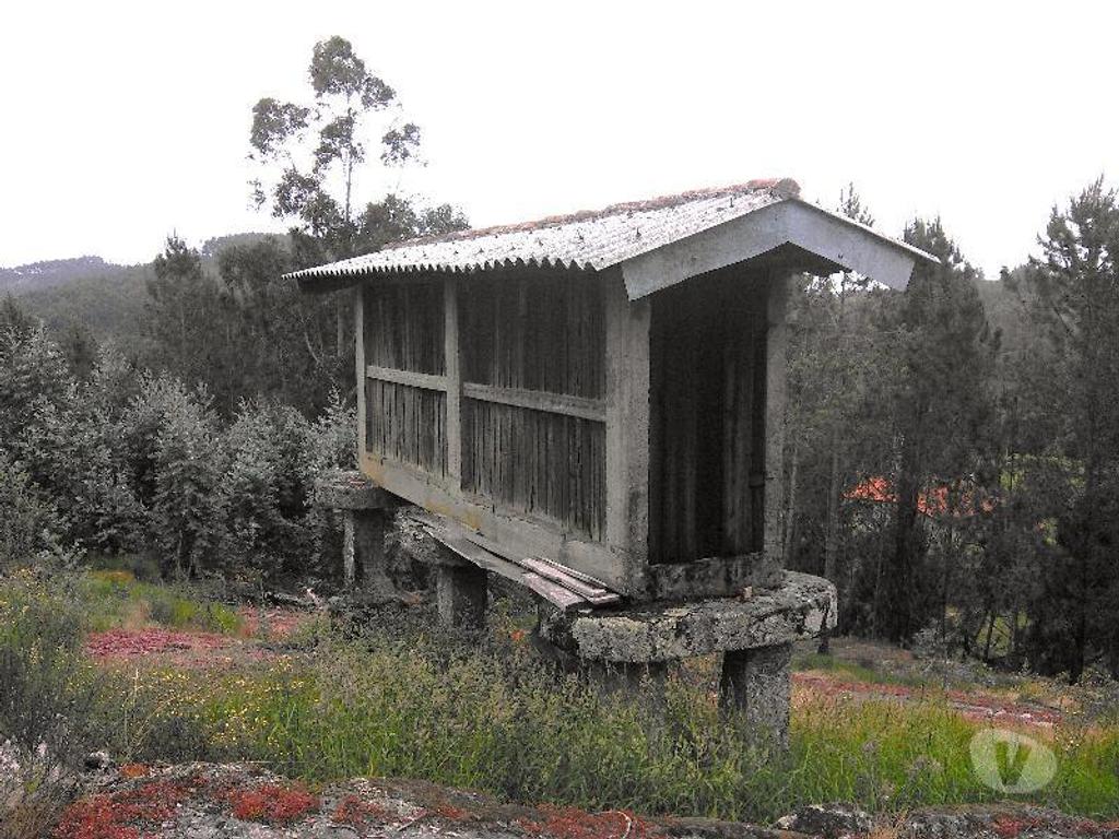 Terrenos Vieira do Minho - Fotos para Terreno Florestal, com espigueiro, eira, todo vedado, com área