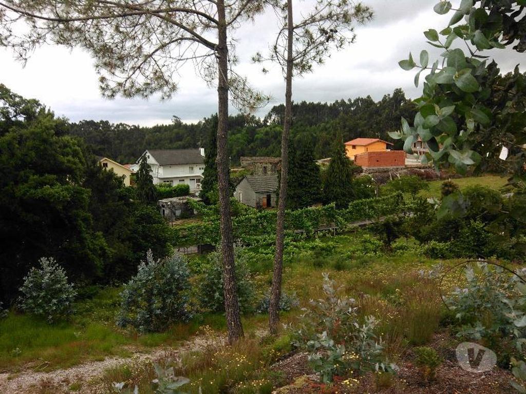 Terrenos Vieira do Minho - Fotos para Terreno Florestal, com espigueiro, eira, todo vedado, com área