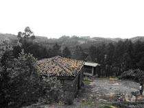 Terreno Florestal, com espigueiro, eira, todo vedado, com área