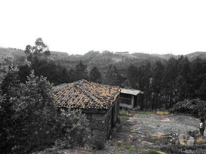 Terrenos - Fotos para Terreno Florestal, com espigueiro, eira, todo vedado, com área