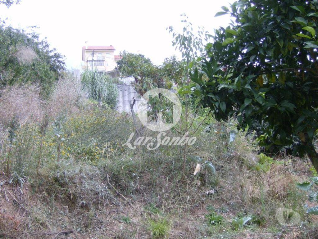 Terrenos Coimbra - Fotos para Terreno com viabilidade de construção em Santo António dos