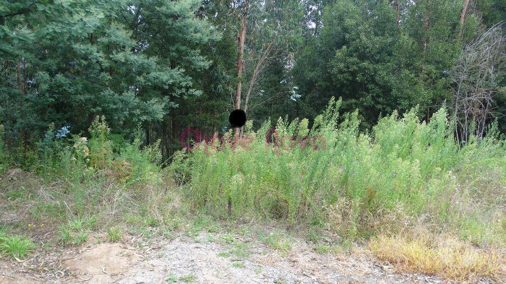 Terrenos Vila Nova de Gaia - Fotos para Vila-nova-de-gaia-Terreno p construção de moradias (MAD 00235)