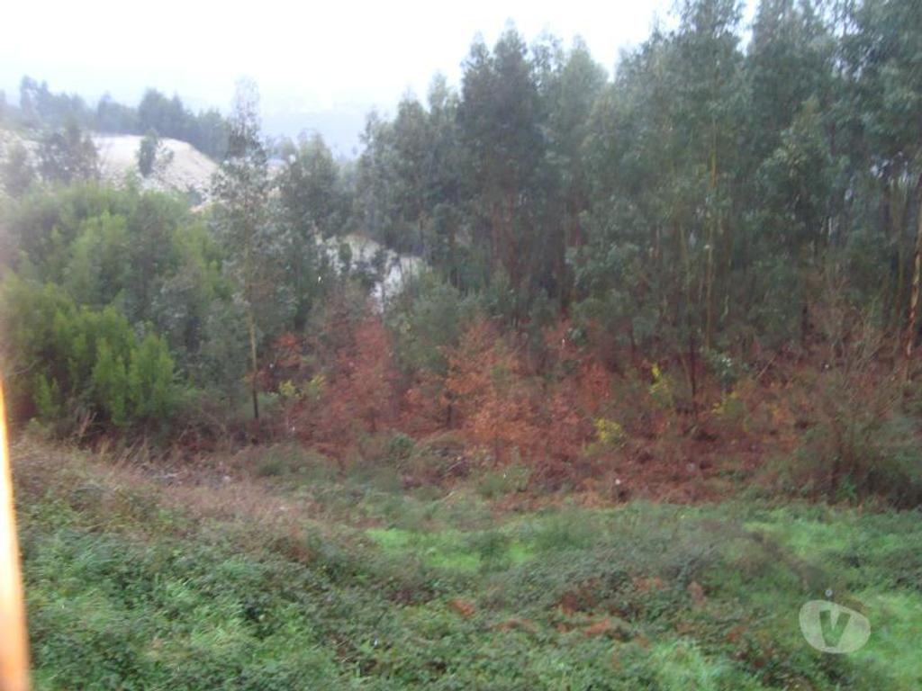 Terrenos Gondomar - Fotos para Terreno com 470 m2 Moradia 4 Frentes em Jovim - Gondomar (140026)