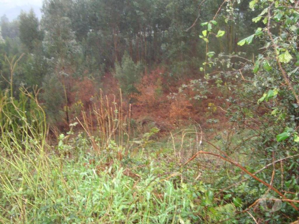 Terrenos Gondomar - Fotos para Terreno com 470 m2 Moradia 4 Frentes em Jovim - Gondomar (140026)