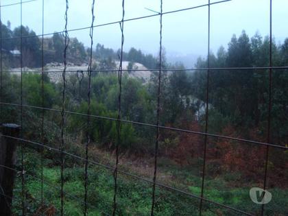 Terrenos a venda - Fotos para Terreno com 470 m2 Moradia 4 Frentes em Jovim - Gondomar (140026)