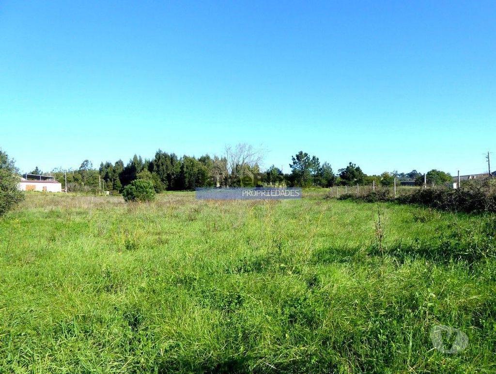 Terrenos Figueira da Foz - Fotos para Terreno p construção na Figueira da Foz, cidade. Portugal,