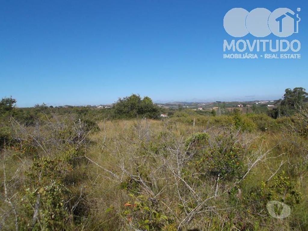 Terrenos Alenquer - Fotos para Terreno agrícola em Santana da Carnota Alenquer (31100001)