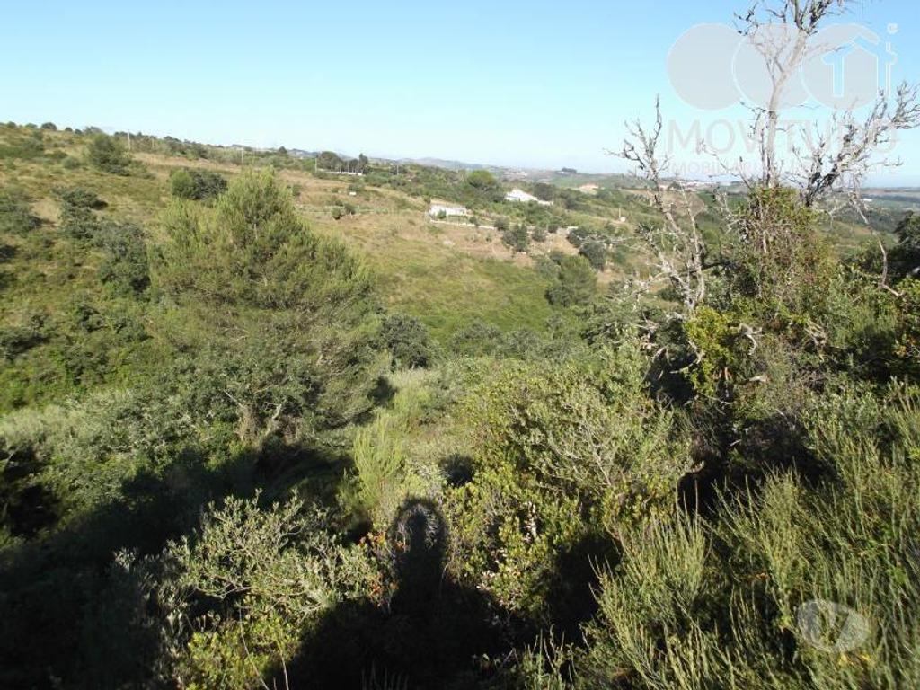 Terrenos Alenquer - Fotos para Terreno agrícola em Santana da Carnota Alenquer (31100001)