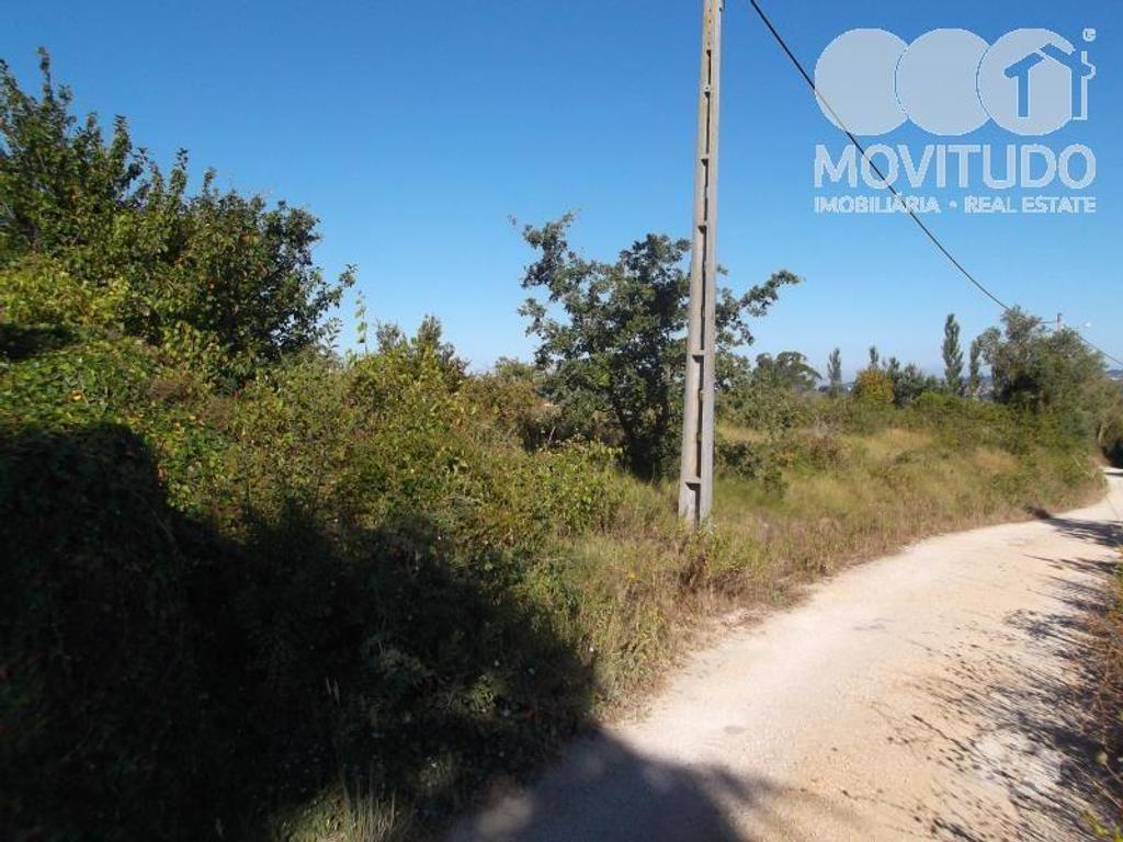 Terrenos Alenquer - Fotos para Terreno agrícola em Santana da Carnota Alenquer (31100001)