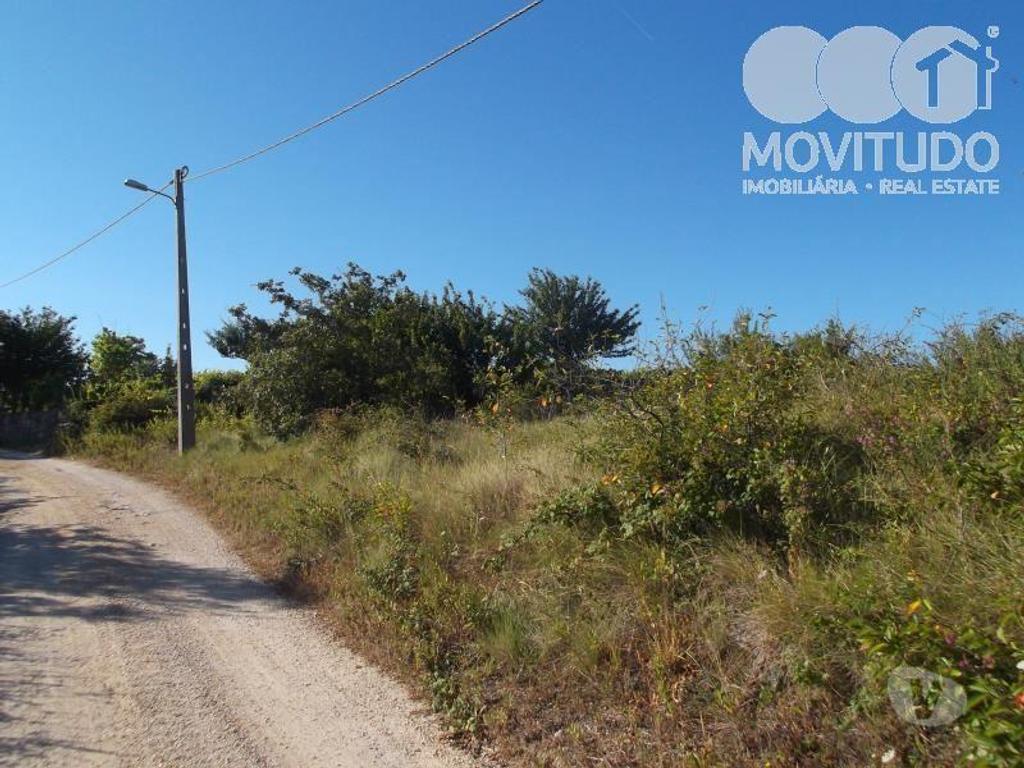 Terrenos Alenquer - Fotos para Terreno agrícola em Santana da Carnota Alenquer (31100001)