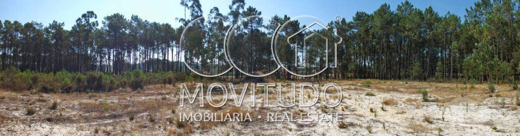 Terrenos Leiria - Fotos para Terreno de 2.960 m2 com projeto aprovado para Lar, Carvide -